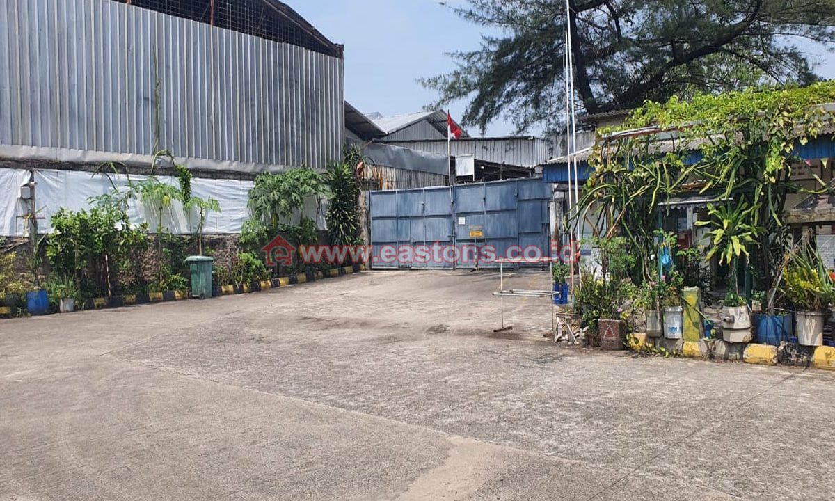 PK009235B