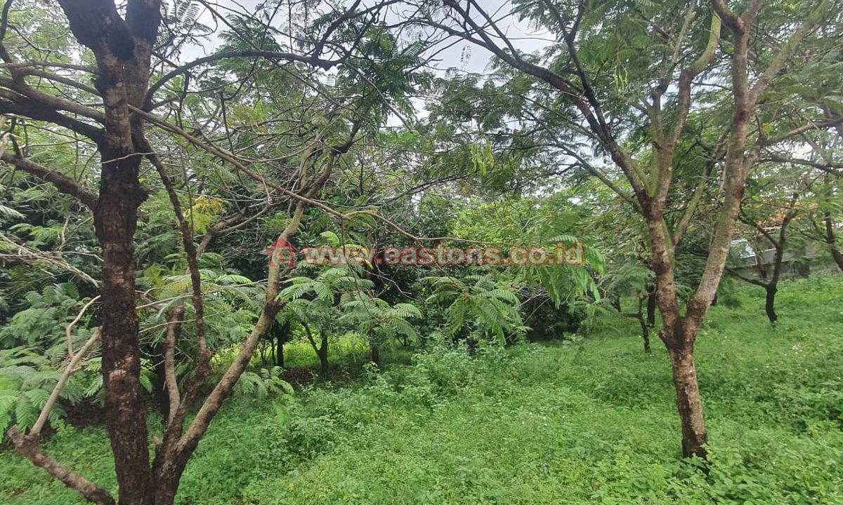 PK009260E