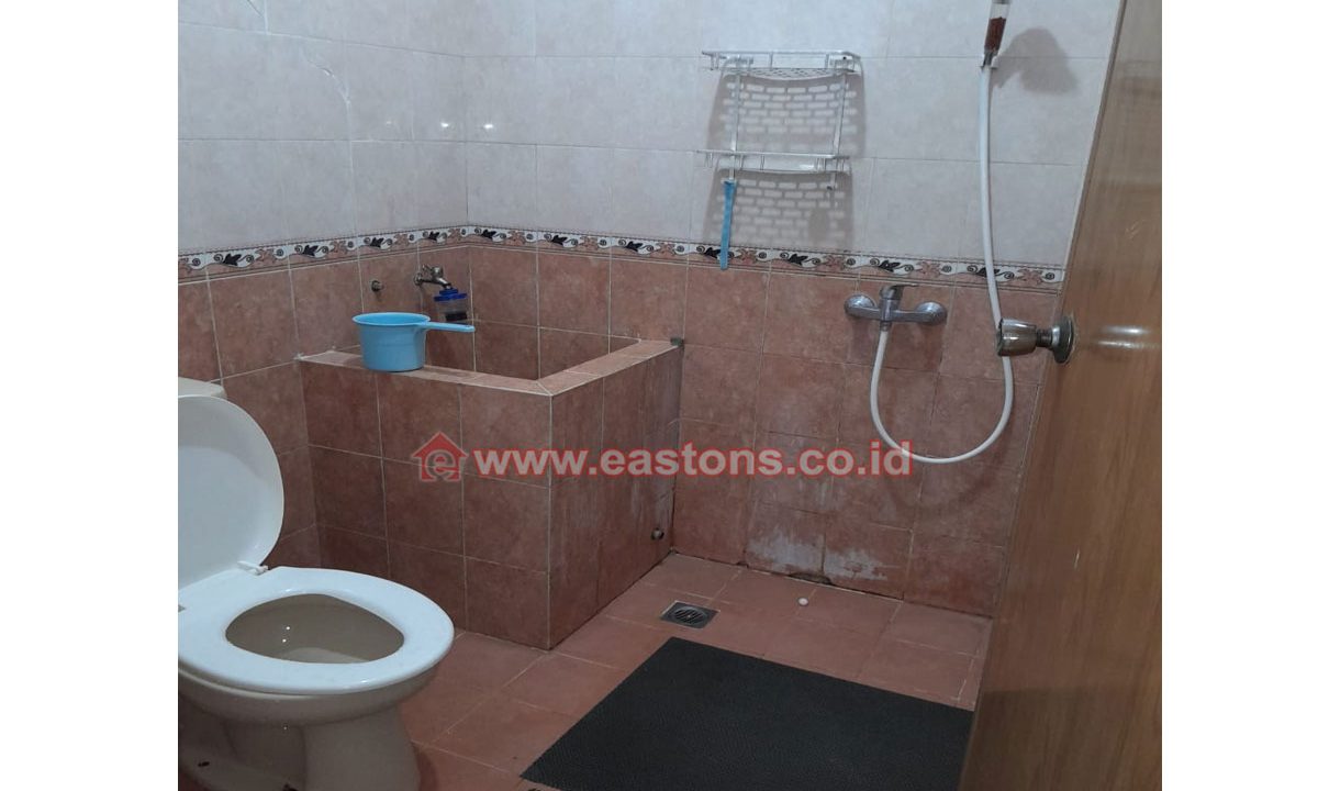 KG005149-KG005150 (2)